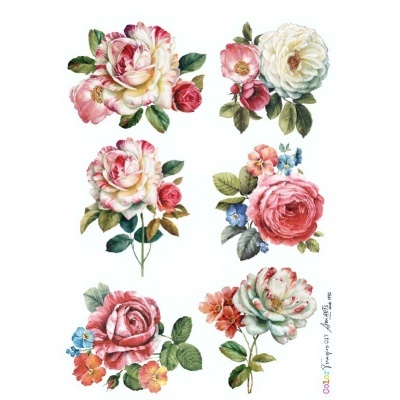 COLOR TRANSFER Ani Arts 20x30cm Ref.: CTE017