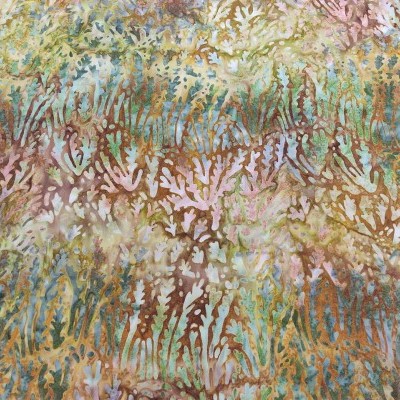 Tecido R.K. Fossils and Rocks 19764