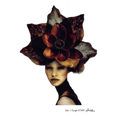 TRANSFER Ani Arts 20x30cm CTEF0013