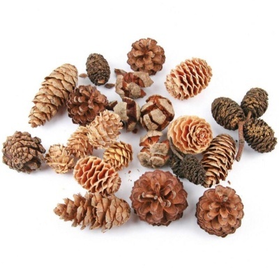 Pinhas Sortidas Natural 90gr   5980611