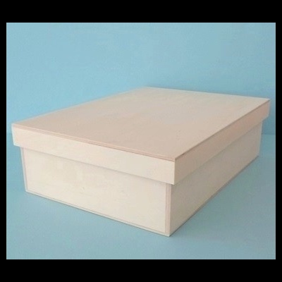 Cx ampla com tampo de encaixe.  24x33x9cm 9782