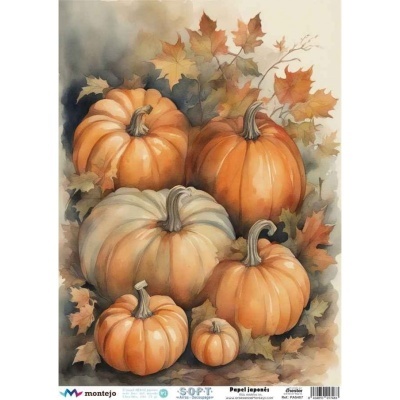 PAPEL DE ARROZ JAPONÉS SOFT A3 SPA5407