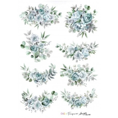 COLOR TRANSFER ANI ARTS 20X30CM REF.: CTE047