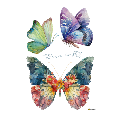 Papel transfer - Borboleta   20x28cm  13044