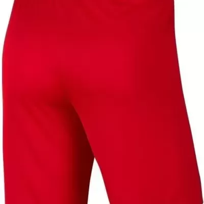 Calções Nike Dry Park III