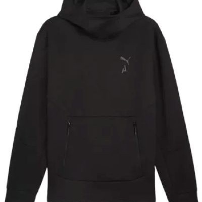 Hoodie Puma M Seasons Logo Tech