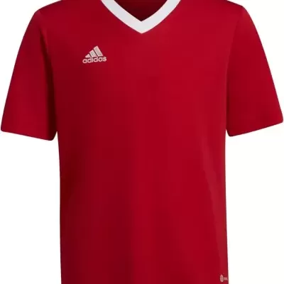T-Shirt Adidas Entrada 22