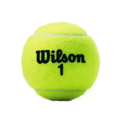 Bolas de Ténis Wilson Championship XD