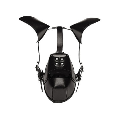 PUP PUPPY PLAY HOOD AND GAG