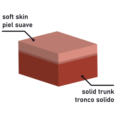 Desenho de cubo com camada superior chamada soft skin e camada inferior chamada solid trunk.