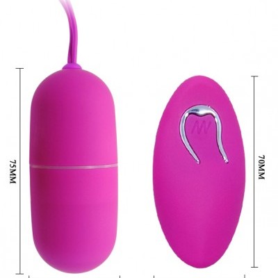 ARVIN REMOTE CONTROL