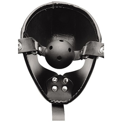 PUP PUPPY PLAY HOOD AND GAG