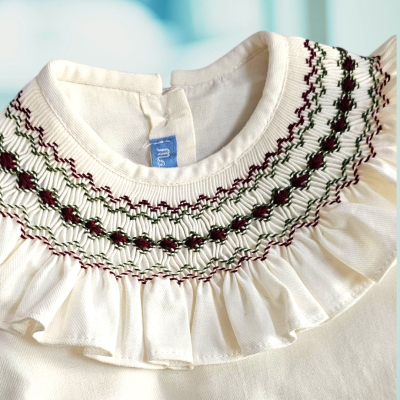 Camisa ou body verde e bordeaux