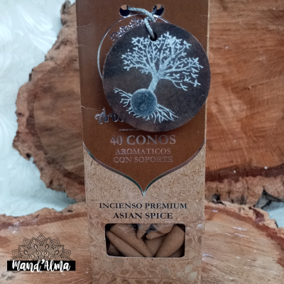 Incensos Indianos em cone Árvore da Vida