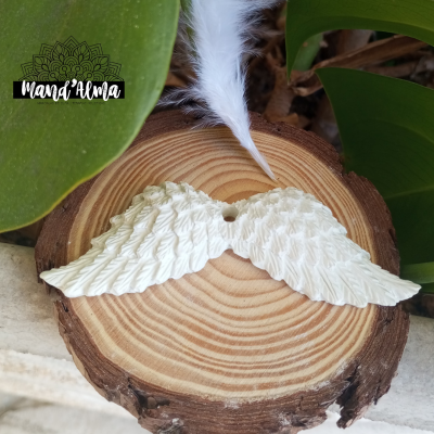 Asinhas de Anjo gesso perfumado