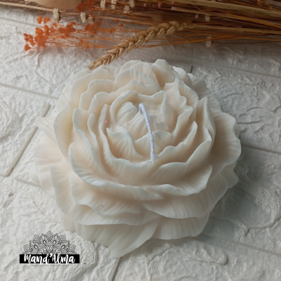 Peónia Grande vela de soja