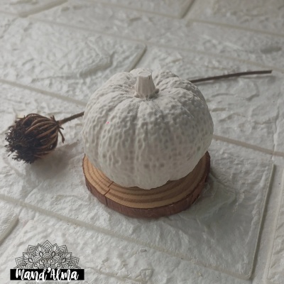 Abóbrinha em gesso perfumado