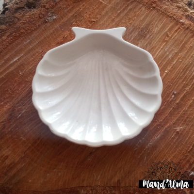 Concha versátil em cerâmica