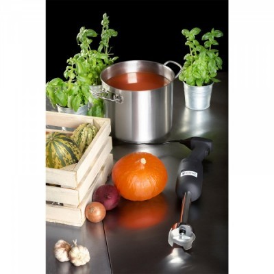 Varinha mágica profissional - 220 W - 160 mm -20000 RPM