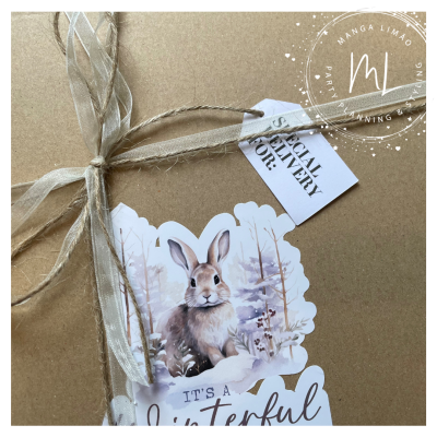 Pack Gesso Perfumado e Flores de Sabão | Lembrança Artesanal Manga Limão