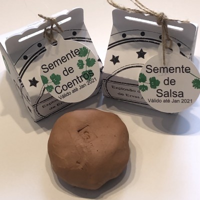 Explosão de Sementes ( bomba Semente )