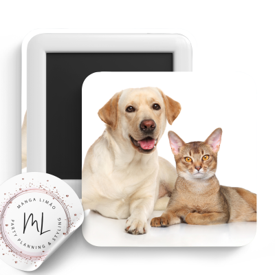 Imãs quadrados com foto de cão labrador amarelo e gato castanho