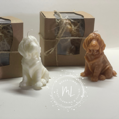 Vela Labrador branco