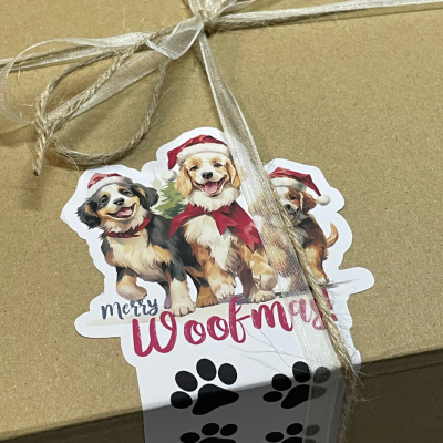 Pack oferta para amantes de Labradores Chocolate!