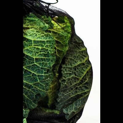 Pack 5 EcoBags Sacos de Frutas e Legumes