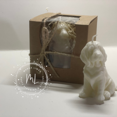 Vela Labrador branco