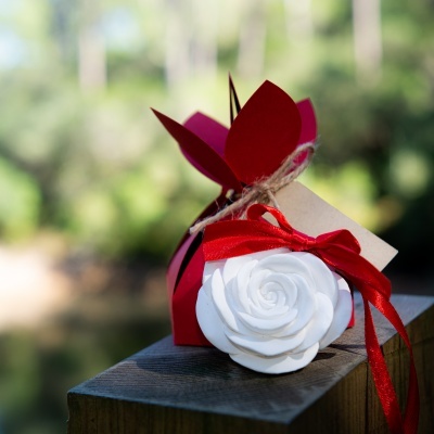 Flor em Gesso Perfumado