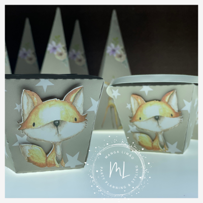 Caixa Bosque Encantado