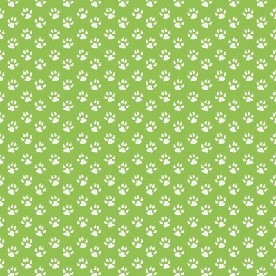 Roda gigante tema Safari na Selva