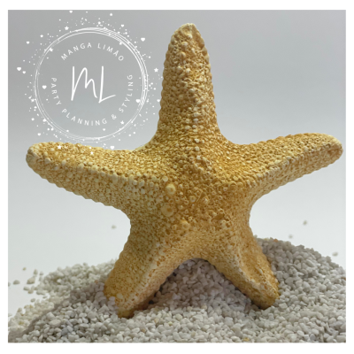 Estrela do Mar em gesso perfumado