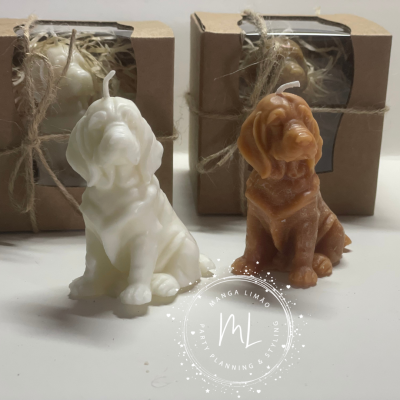 Vela Labrador branco