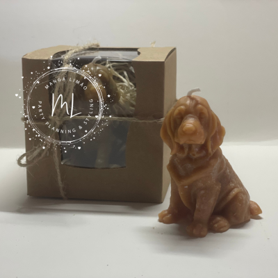 Vela Labrador Castanho