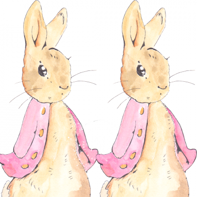 Caixa Piramide Peter Rabbit