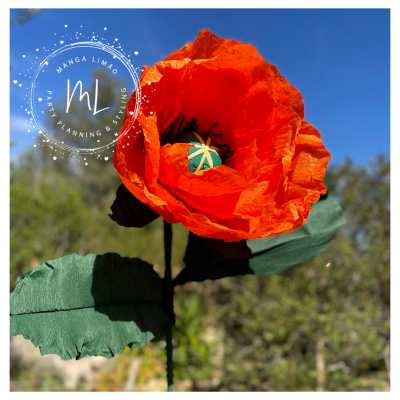 Papoila Gigante de Papel (cor-de-laranja )