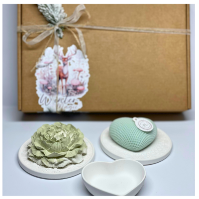 Pack Encanto de Inverno – Conjunto Artesanal em Gesso com Vela e Peónia | Manga Limão