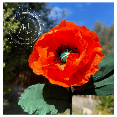 Papoila Gigante de Papel (cor-de-laranja )