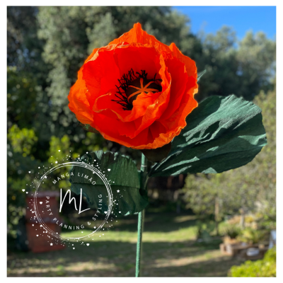 Papoila Gigante de Papel (cor-de-laranja )