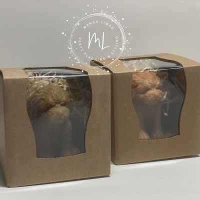 Vela cachorrinho Castanho