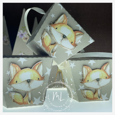 Caixa Bosque Encantado