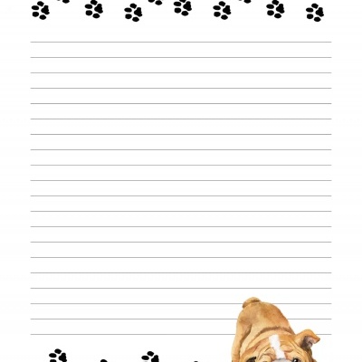 Bloco de Espiral -  Bulldog