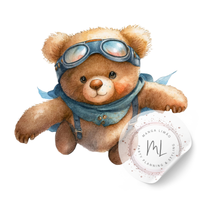 Designs TEDDY BEAR PNG ? Criatividade sem Limites! 