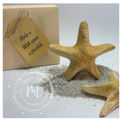 Estrela do Mar em gesso perfumado