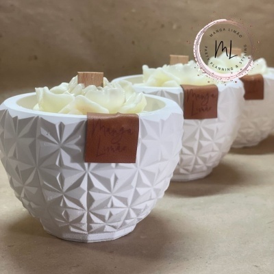 Vaso com uma Camélia