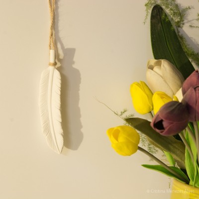 Pena em Gesso perfumado