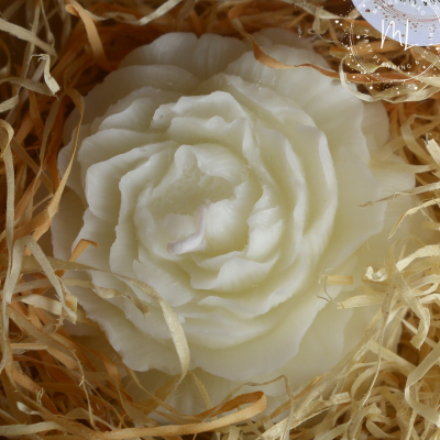 Vela Peônia Branca: Frescura de Limão em Cada Detalhe