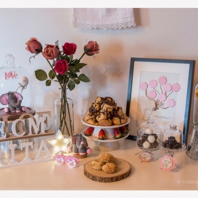 Serviço Baby Shower